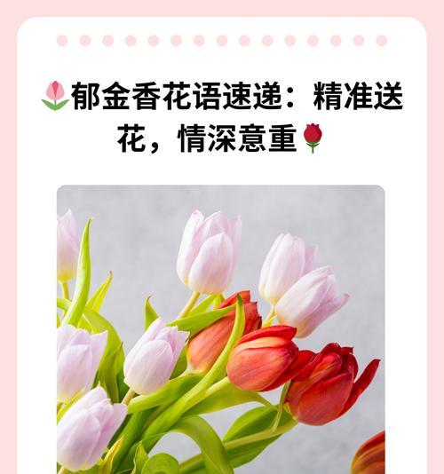 毕业男生送什么花表达爱意？花语是什么？