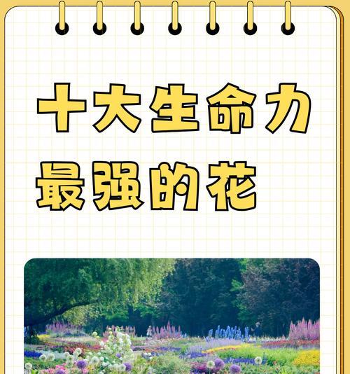 哪种花象征自控力？