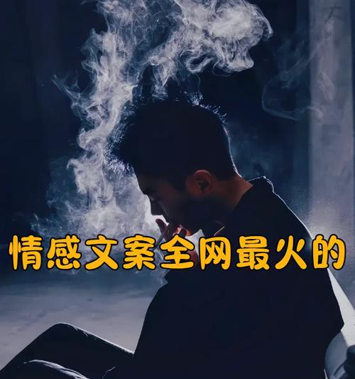 一丝不苟玫瑰花语表达了怎样的情感？