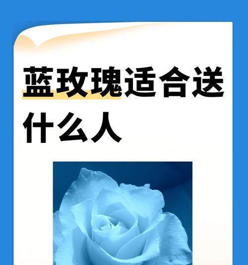 爱人应该送哪种玫瑰花表达爱意？