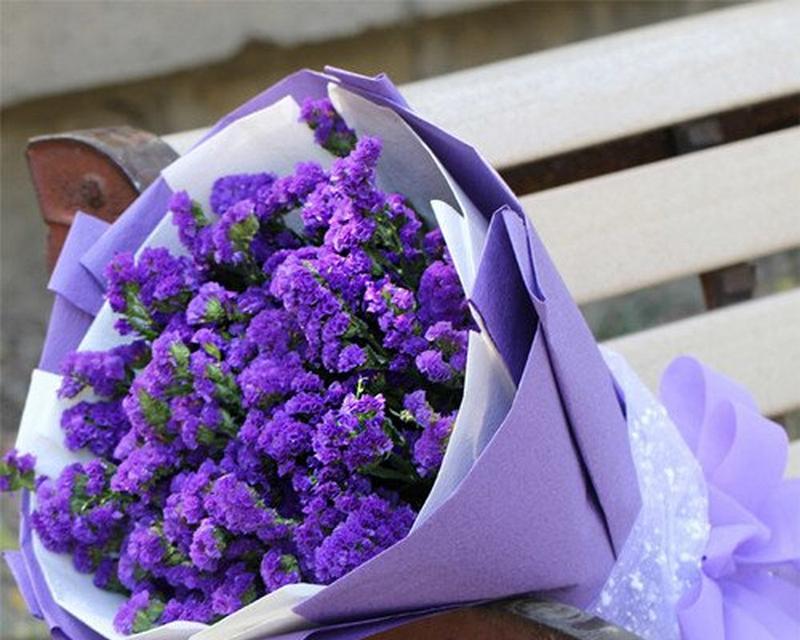 忘我花的花语有何含义？