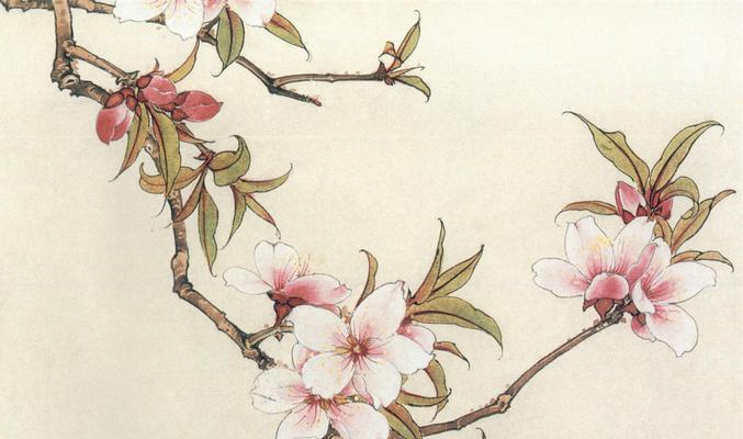 日语中的花语如何表达？学习日语花语有哪些途径？