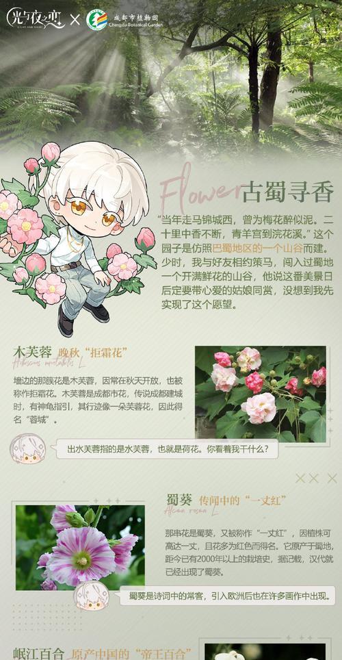 齐妙花语密语代表什么含义？如何正确解读？