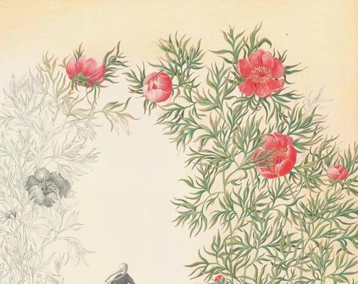 齐妙花语密语代表什么含义？如何正确解读？