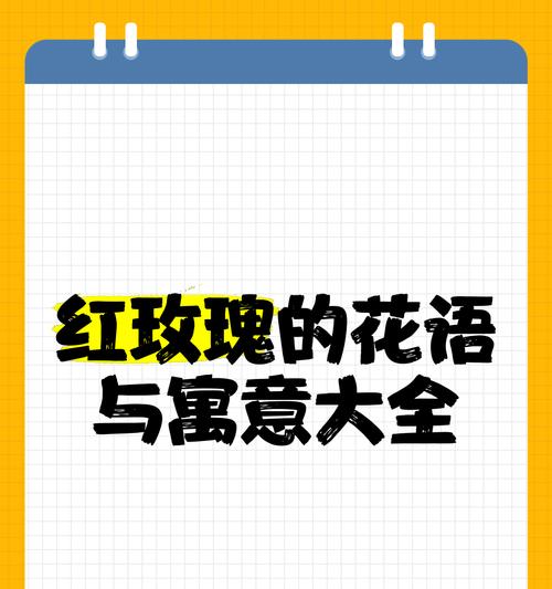 宝宝玫瑰花语是什么意思啊？宝宝玫瑰在花语中的寓意是什么？