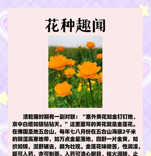 谁给花写的花语是什么呢？花语的起源和作者是谁？