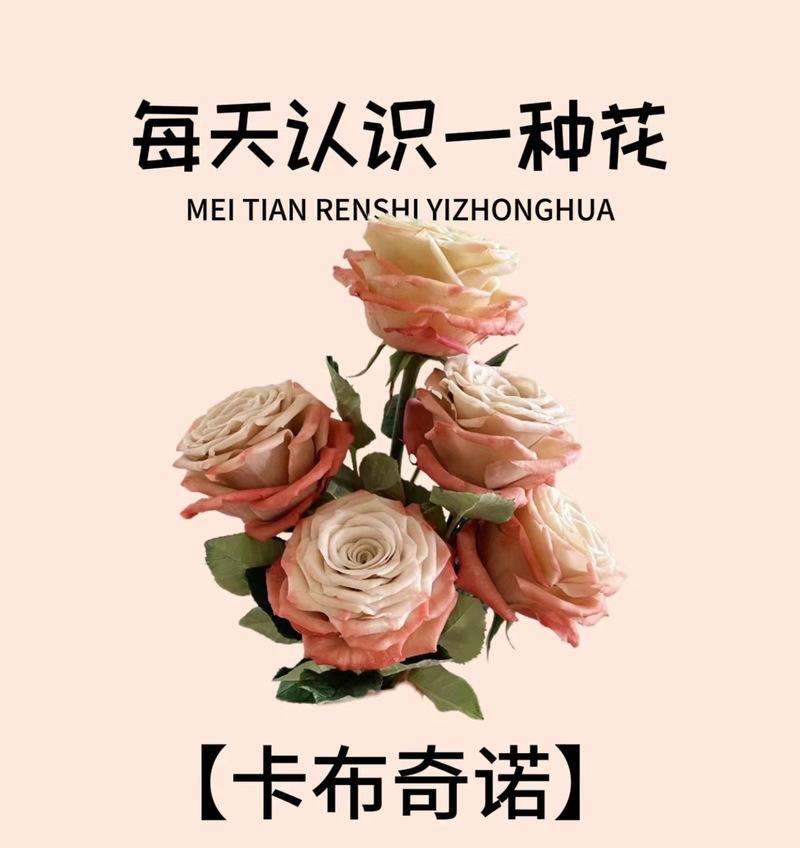 谁给花写的花语是什么呢？花语的起源和作者是谁？