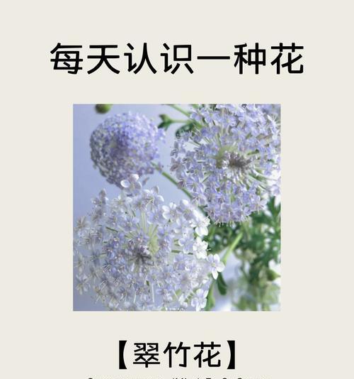 哪种花的花语是祝你幸福？