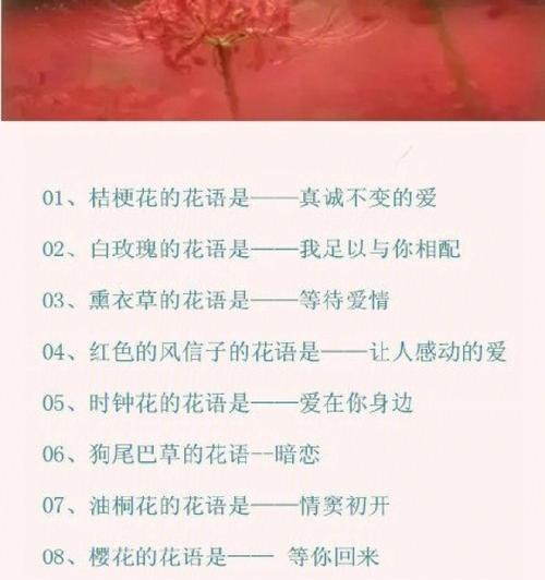 花语的幽默解读是什么？搞笑花语有哪些？