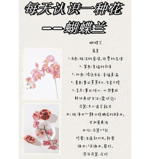 哪种花的花语含有不纯洁的意味？