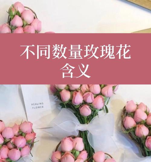 给女朋友挑玫瑰花代表什么？不同数量的玫瑰有何不同含义？