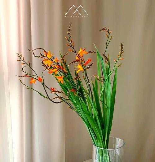 水滴形状的花语是什么？它在花语中代表了什么？