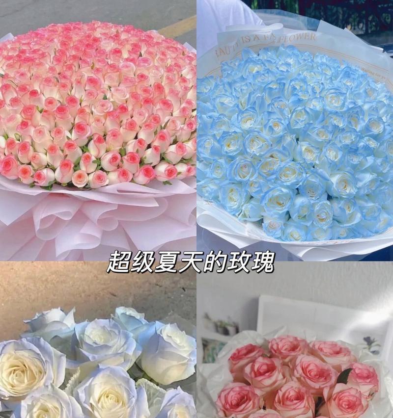 甜蜜艾莎玫瑰的花语和寓意是什么？它代表了什么情感？