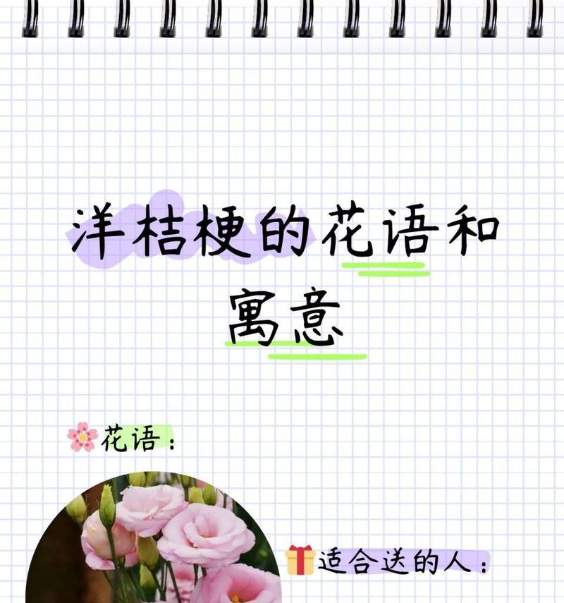 和气满堂的花语和寓意有何不同？