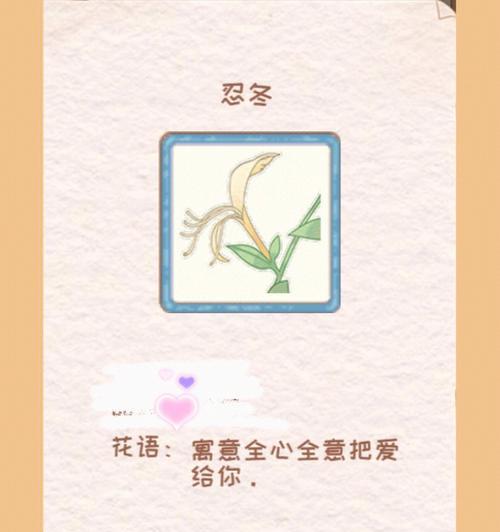 小竹花的花语代表了哪些意义？