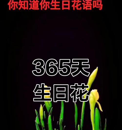 哪种花的花语最适合过生日时使用？