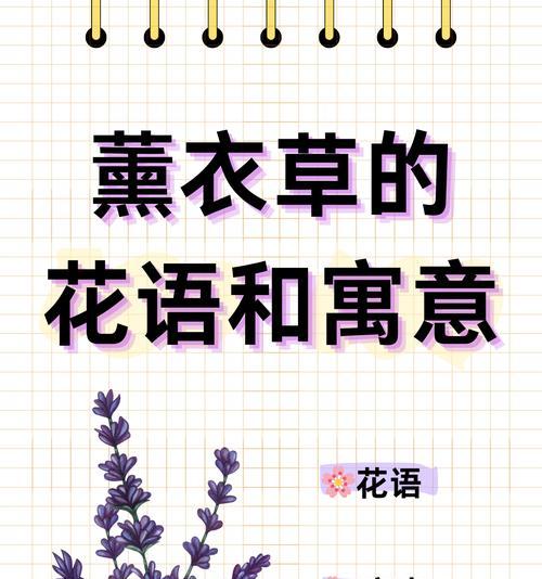 哪种道具象征等待爱情的花语？