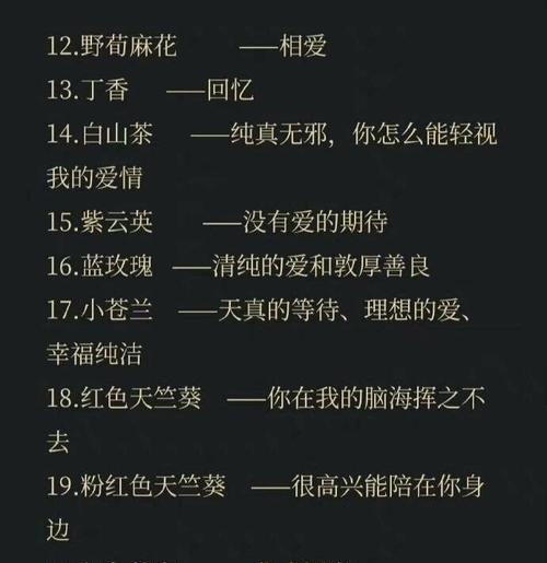 “你怎能质疑我的爱”花语代表什么？