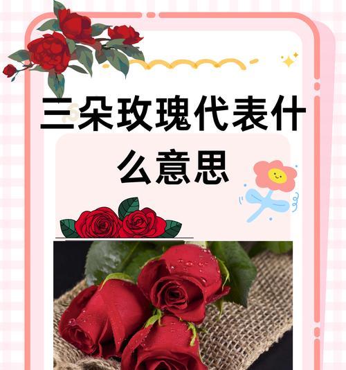 蓝白色3朵玫瑰花代表了什么？蓝白色玫瑰花的花语是什么？