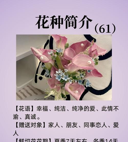 什么花语包含爱？哪种花代表爱情？