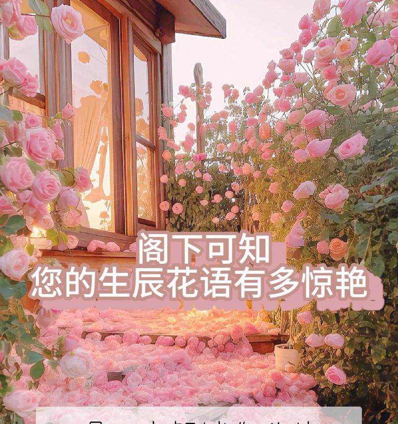 作为主角的花语是什么？如何用花语展现主角风采？