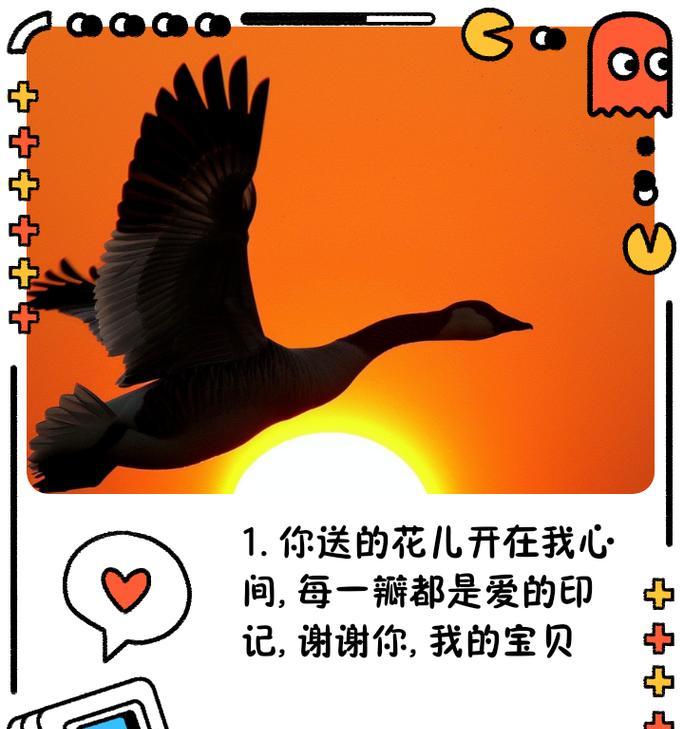 女儿送的花语有何特别含义？女儿的花语代表什么？