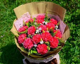 什么花是祝平安的花语和寓意？哪种花象征着平安与祝福？