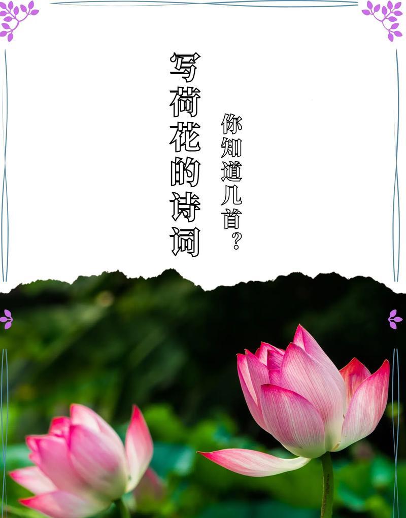你不知道花语是什么？花语背后隐藏的秘密是什么？