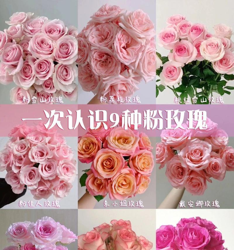 你不知道花语是什么？花语背后隐藏的秘密是什么？