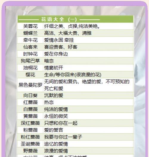 初冬时节送花的花语和寓意是什么？