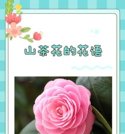 适合赠自己的花语是什么？哪种花适合表达自爱和自我鼓励？