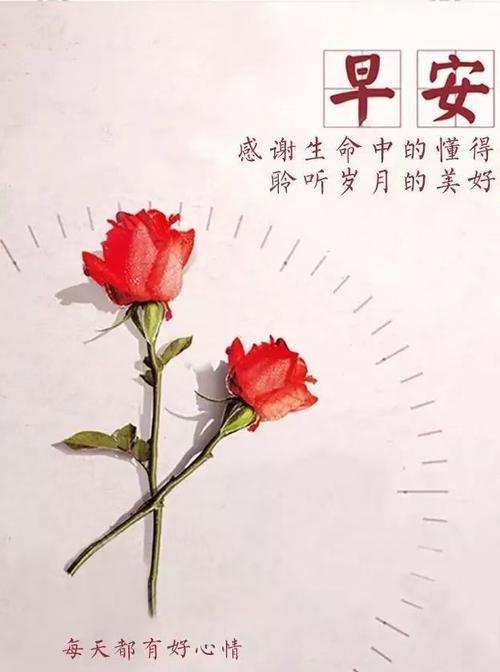 适合赠自己的花语是什么？哪种花适合表达自爱和自我鼓励？