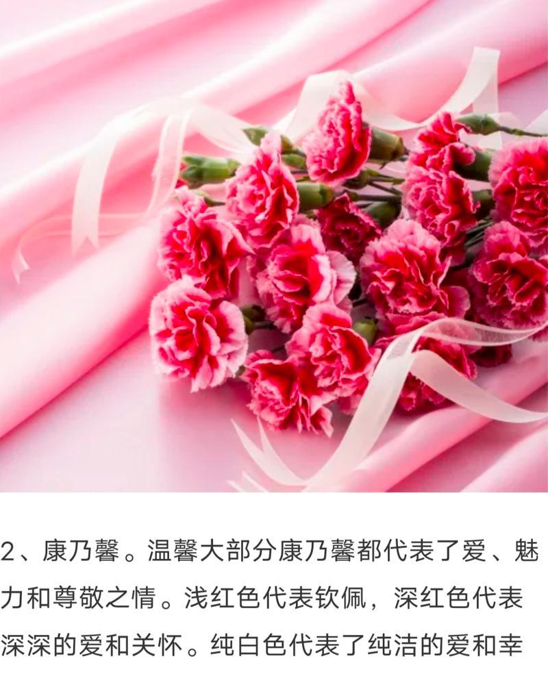 哪种花的花语表达了无法生存的遗憾？花语背后的故事是什么？