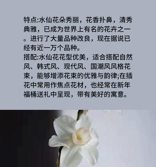 水仙花的花语是什么？水仙花象征着什么？