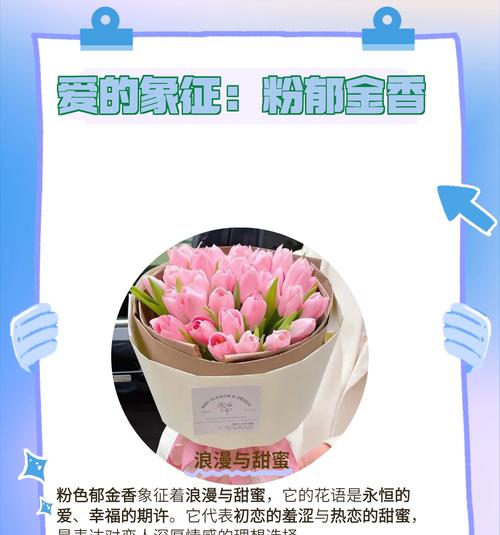 重视你的爱情花语有哪些特别之处？