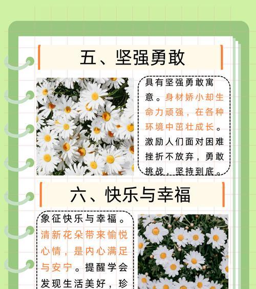 离别逢生花语有何寓意？表达怎样的情感？