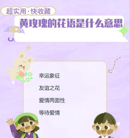 郑小妹玫瑰花语的含义是什么？