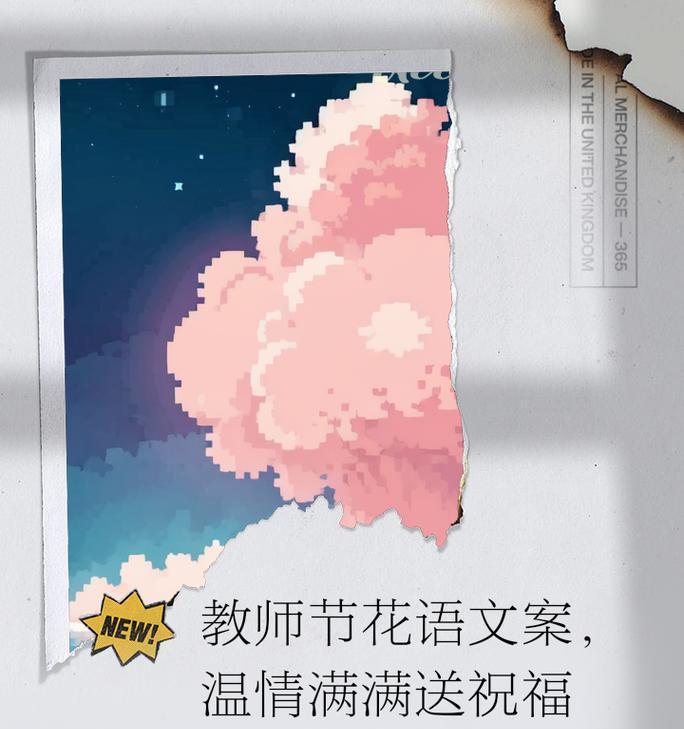 什么花的花语代表感谢老师？如何选择合适的花朵表达谢意？