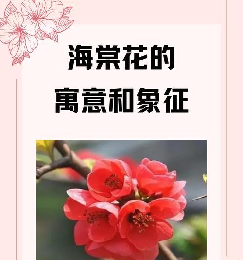 “想做自己”的花语是什么？它鼓励人们追求什么？