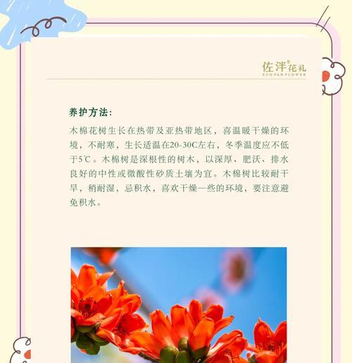 树木的花语是什么？它们代表了什么寓意？