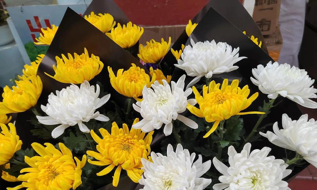 缅怀英雄的花语是什么？它表达了怎样的敬意？