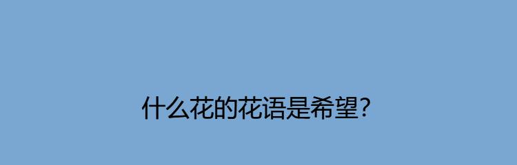 七月鲜花的花语有哪些？