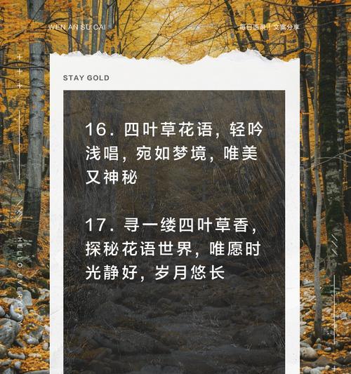 刮出你的新型花语是什么？这种花语有何独特之处？