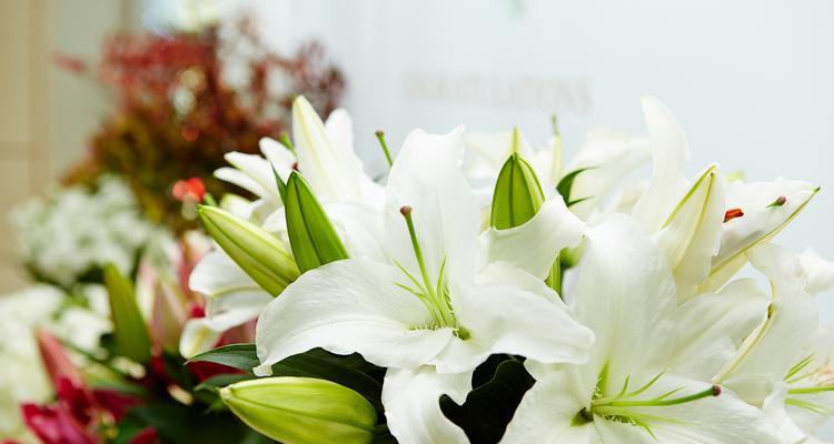 喜欢某人的花语是什么？这种花语表达了怎样的情感？