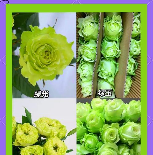 哪些花的花语听起来最为动人？