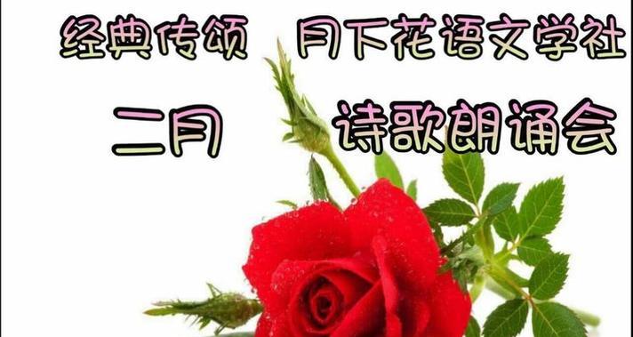 元宵节的花语和寓意是什么？象征着什么？