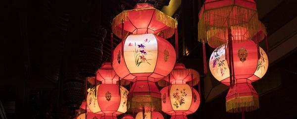 元宵节的花语和寓意是什么？象征着什么？