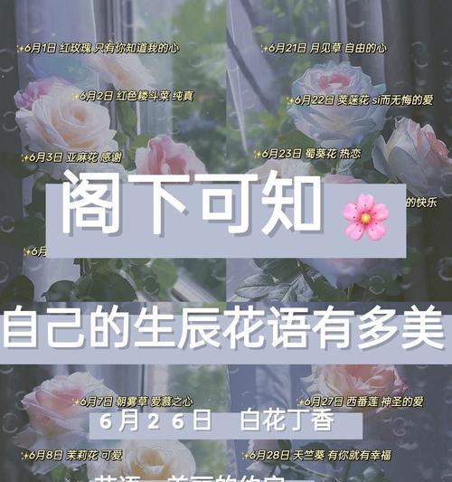 心里只有你的花语代表什么？