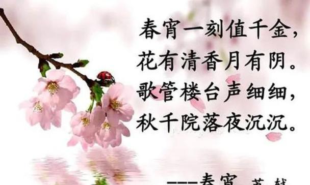 终见晴花语和寓意是什么？表达怎样的情感？