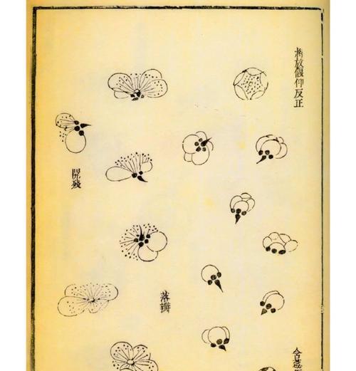 相思梅花语有何寓意？梅花的花语是什么？